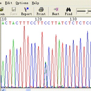 承接实验服务 DNA测序服务